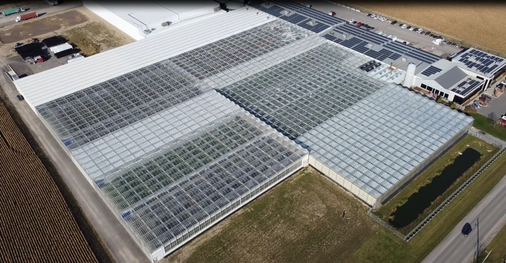 4 Questions About Floral Bayview Flowers focused on new looks and