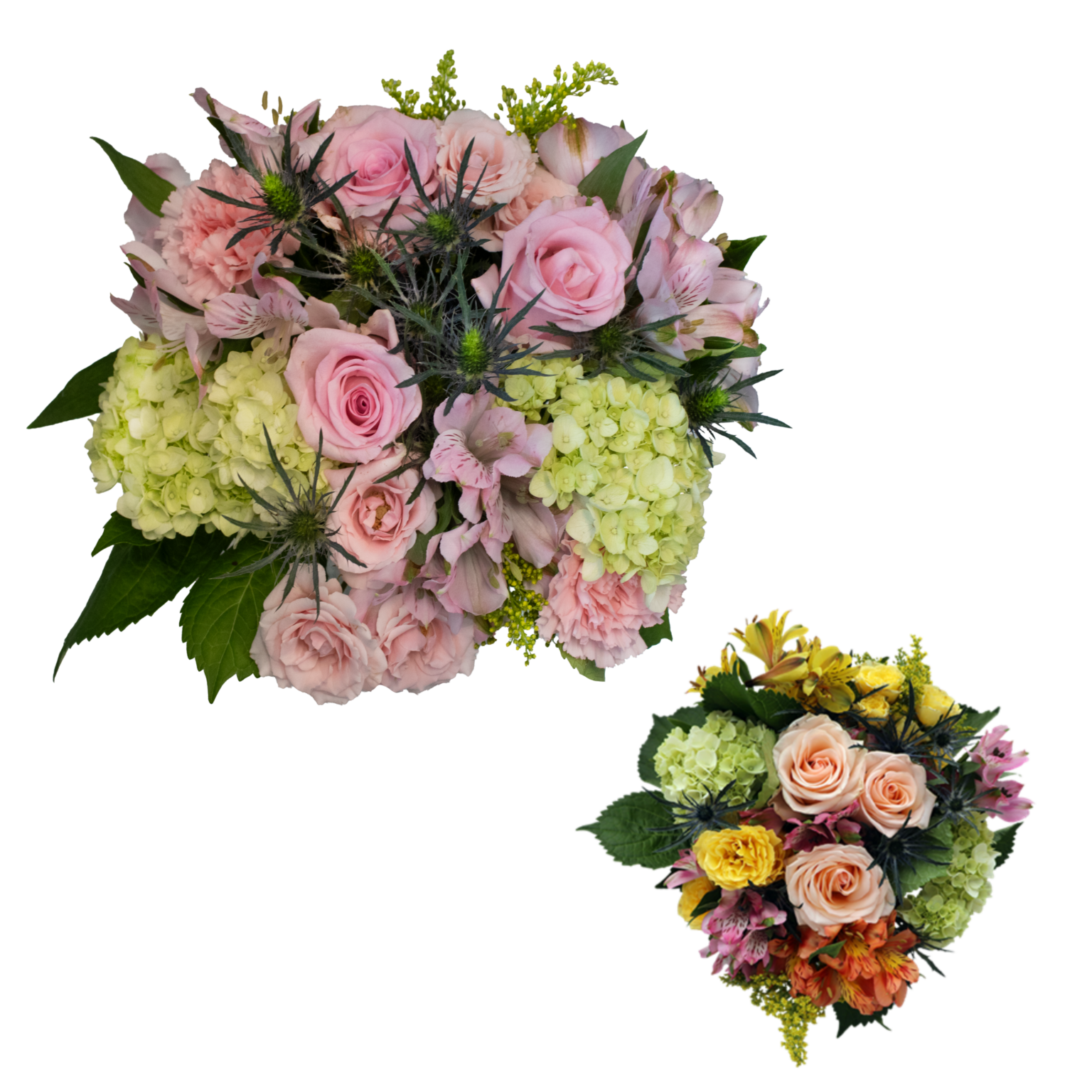 Flower & Wine Bar Floriexpo