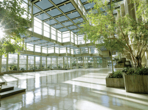 Screenshot 2025-11-07 122932